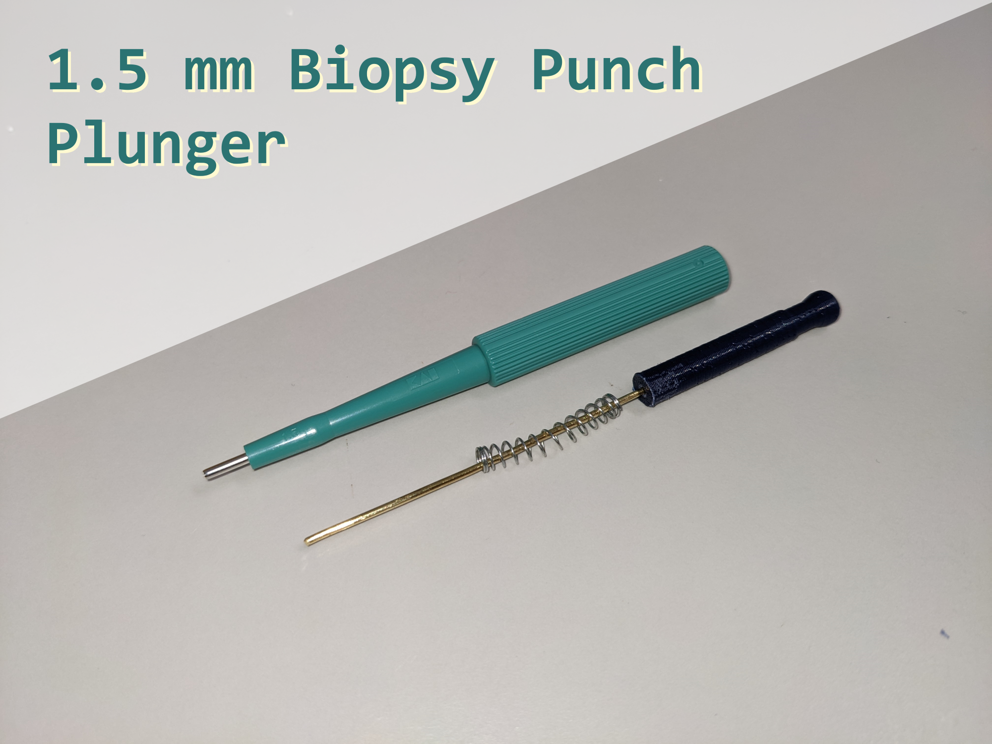 Mm Punch Biopsy