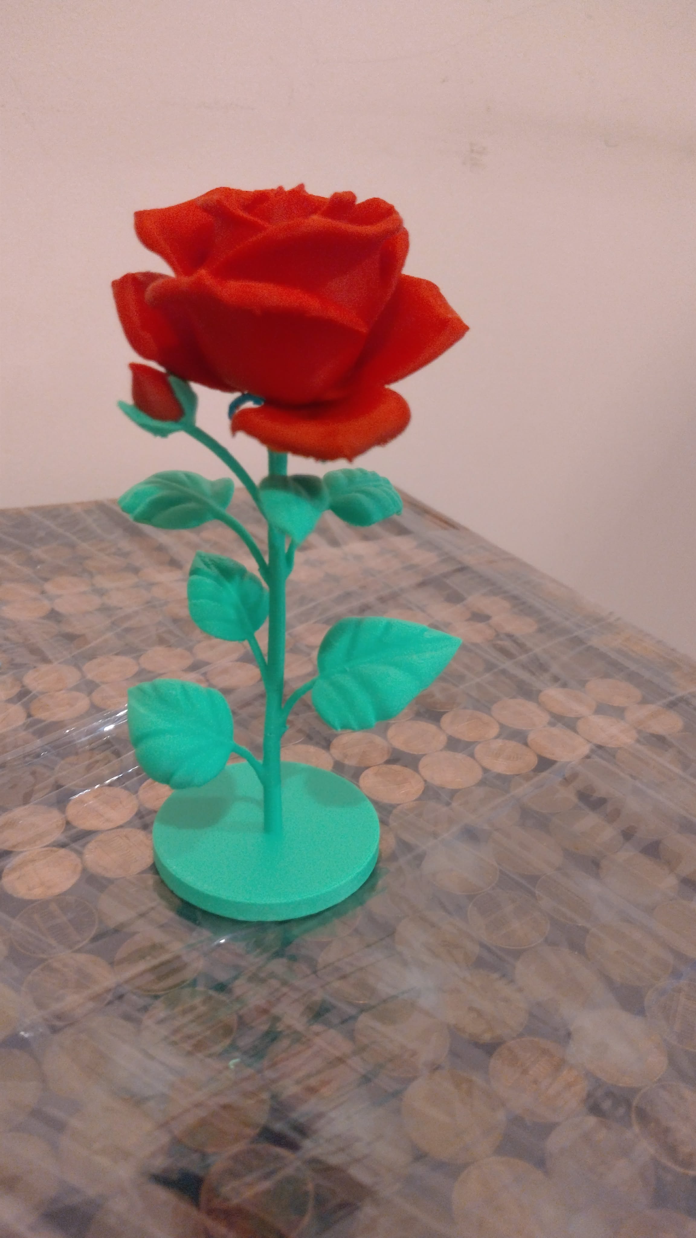 Rose/Róża