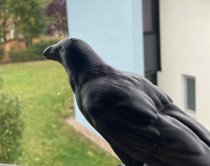 Crow (with support)