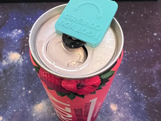 Swivel Can Cover