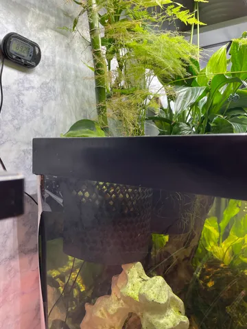 Aquarium Planter