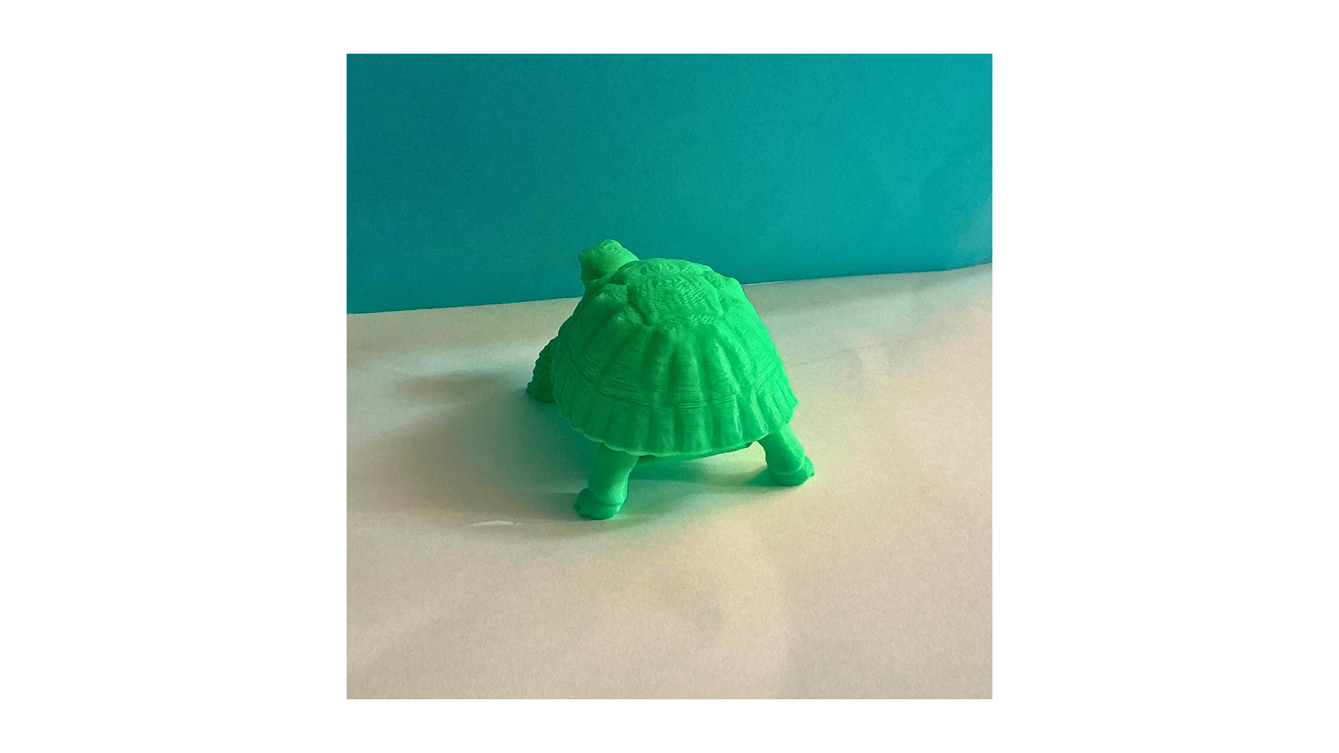Tortoise — miniatura 2