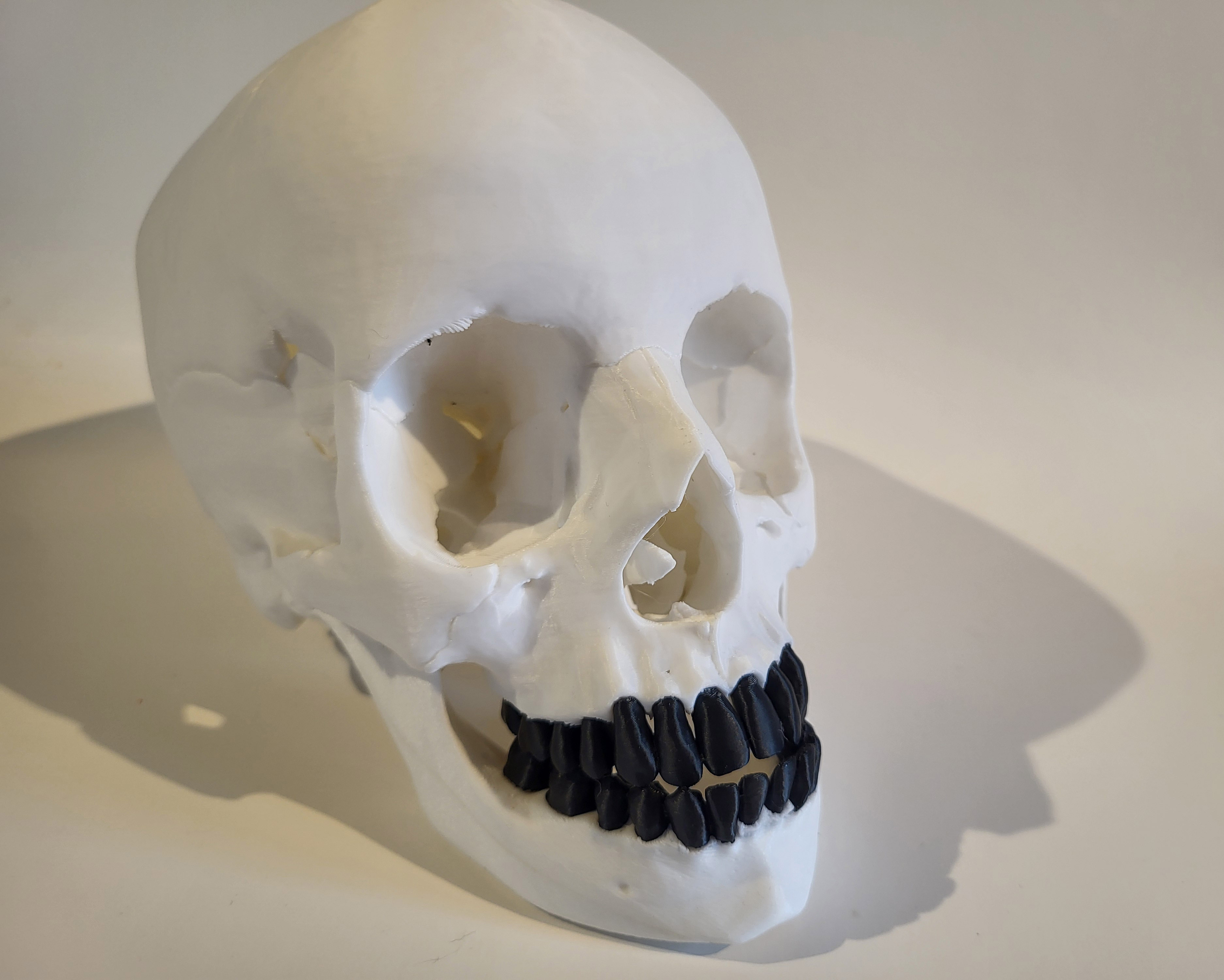 Skull with splitted teeth and optional horns