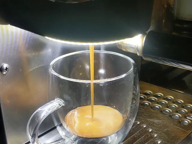 Rancilio Silvia Group Head Shroud Halo Light Upgrade
