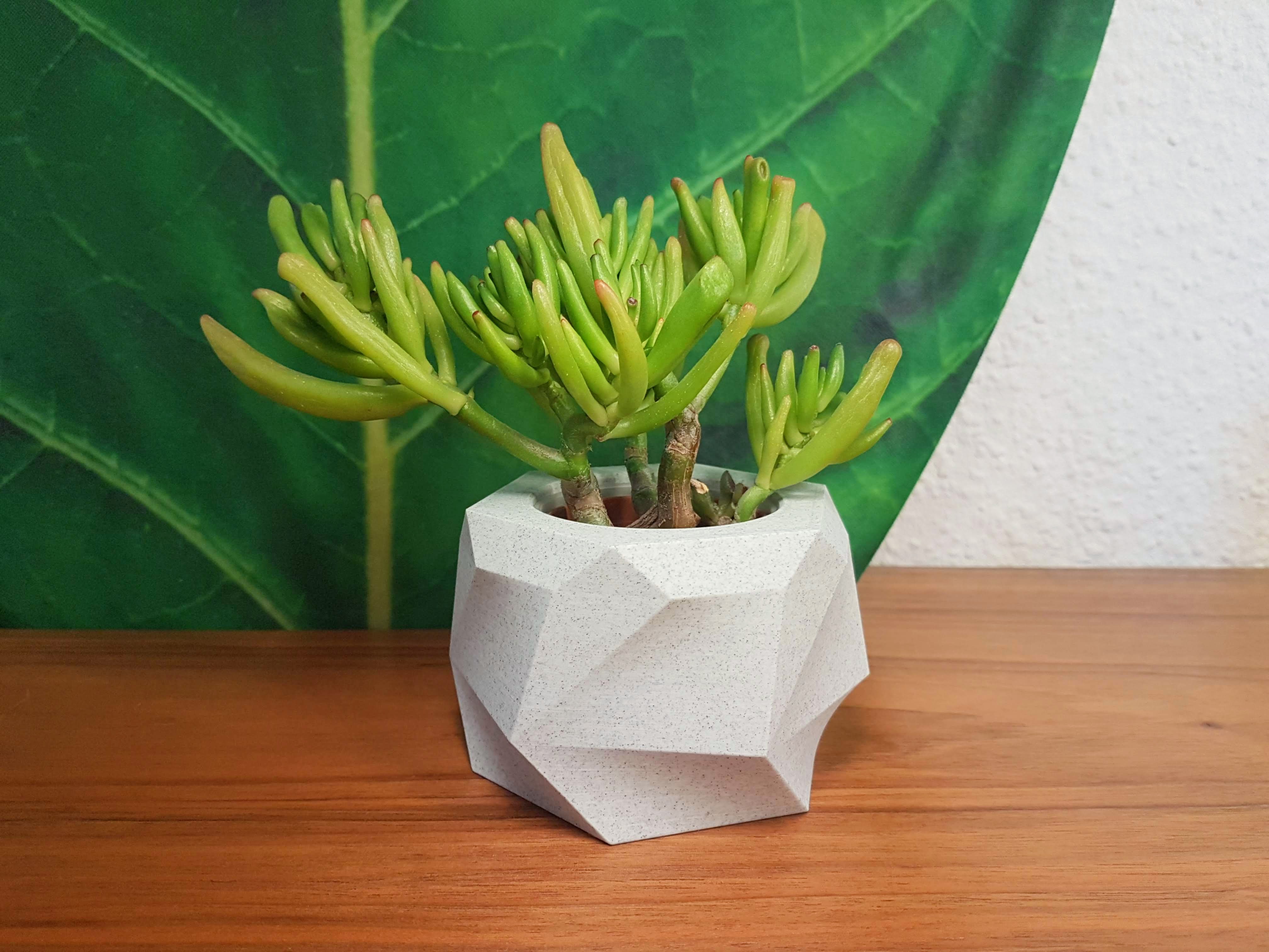 Blocky Planter #3 Flower Pot Collection 3D model thumbnail