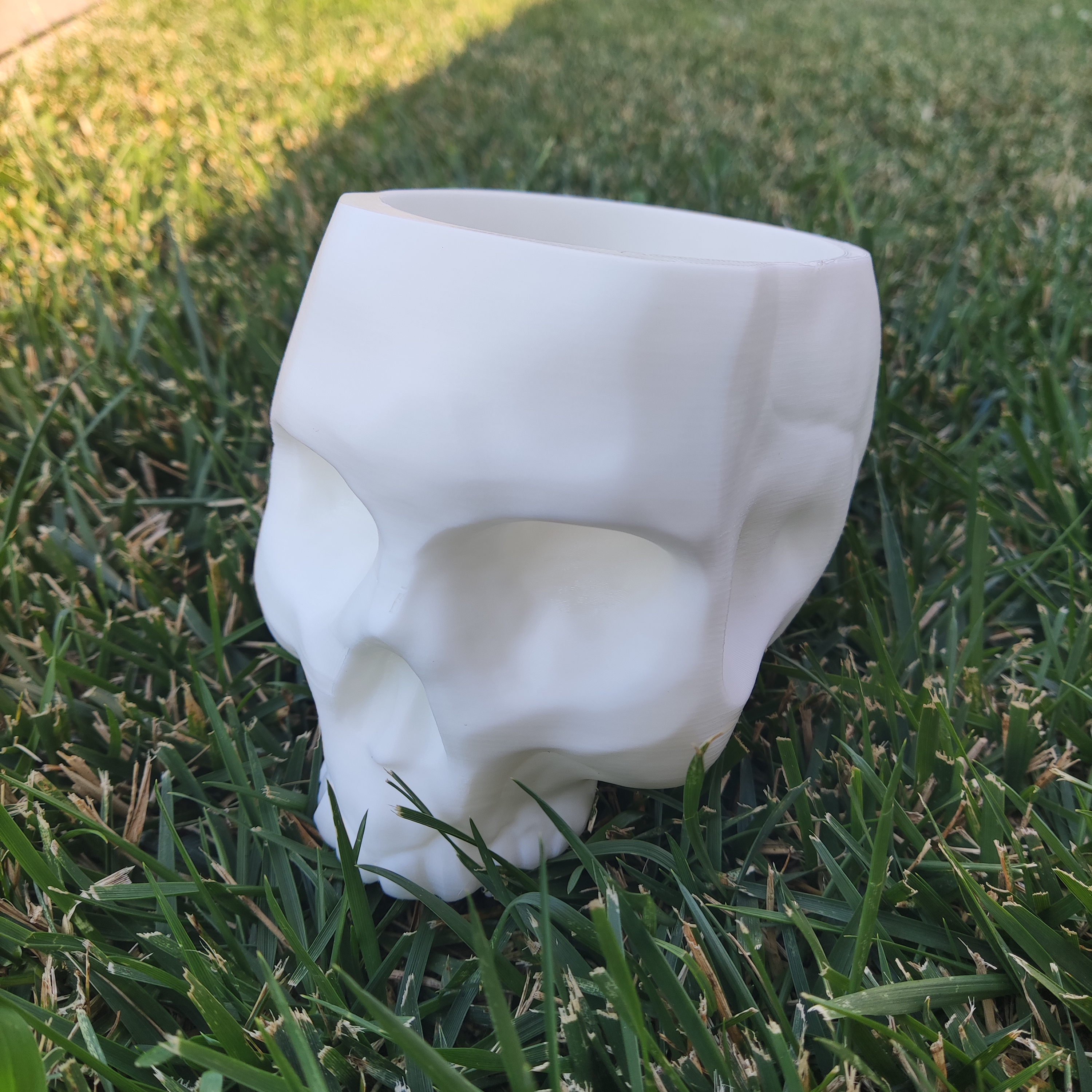 skull planter no holes 3D model thumbnail