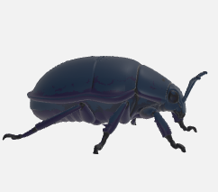 Alien bug