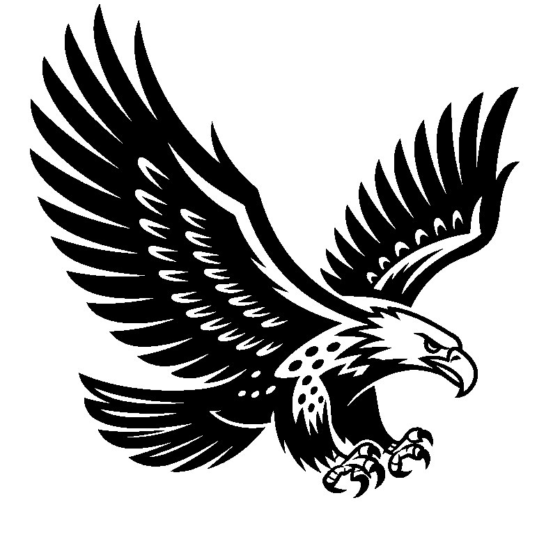 Hawk Wall Art