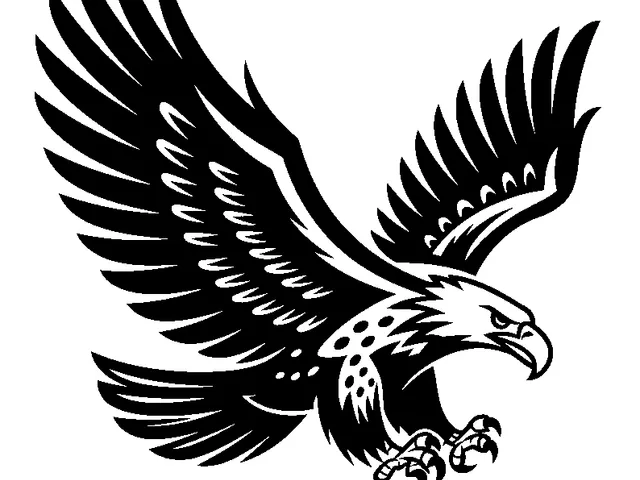 Hawk Wall Art