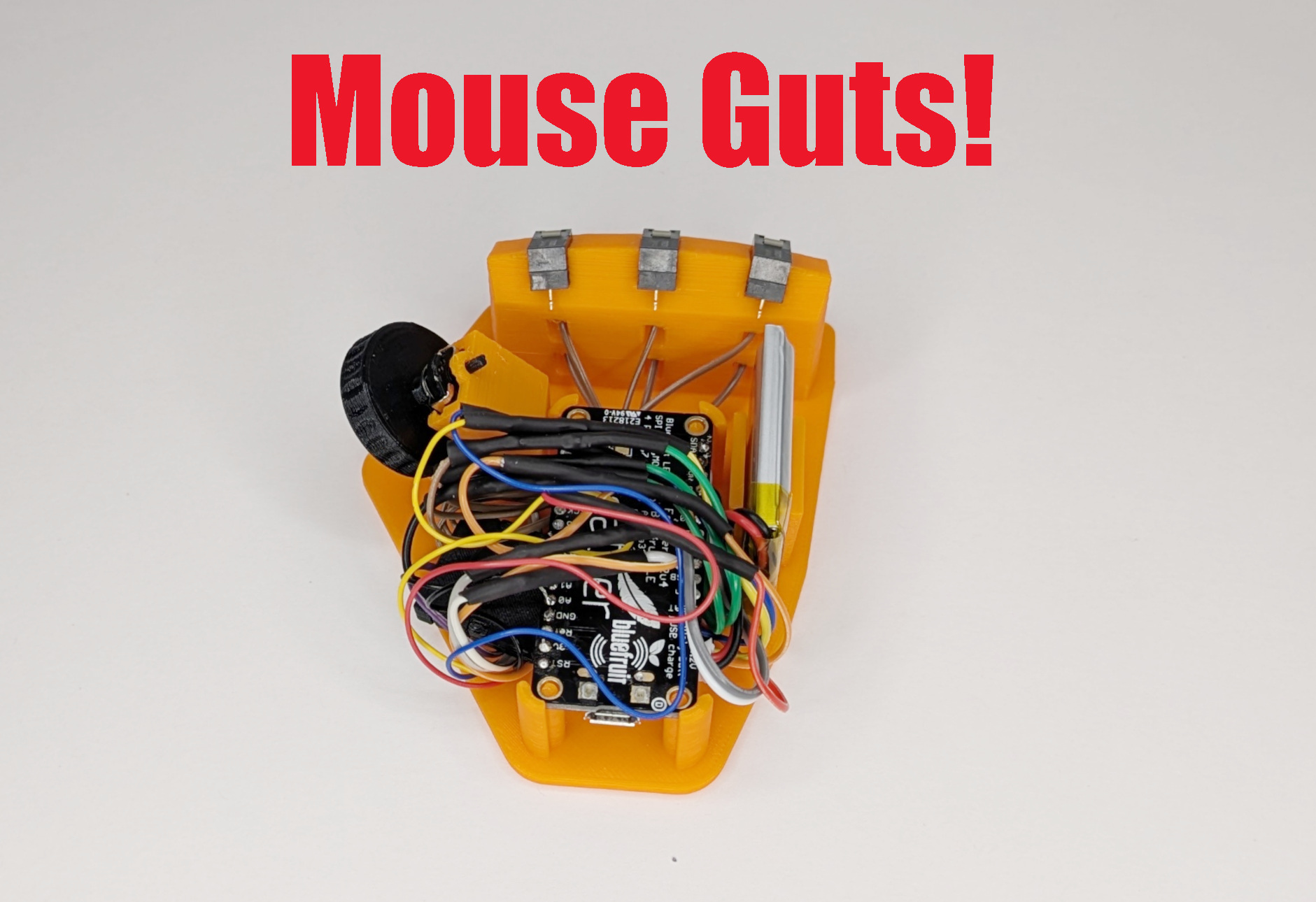Mouse Guts!