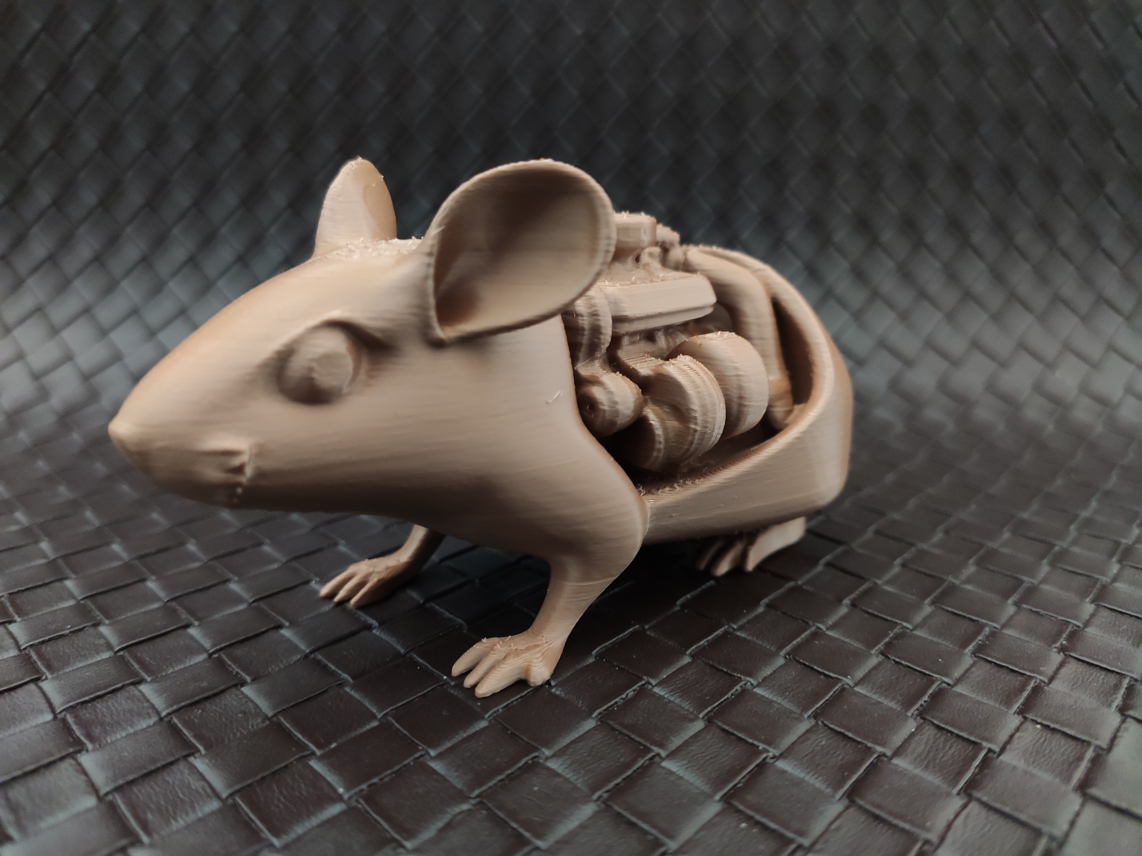 Motorized mouse — thumbnail 5