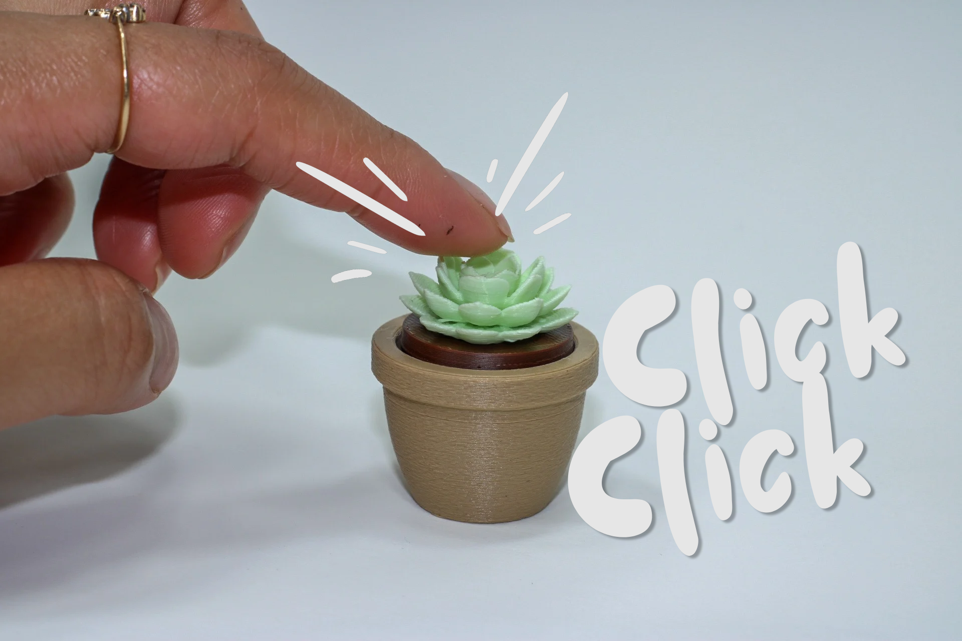 Succulent  Fidget clicker 3D model