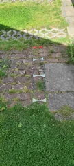 Lawn-mower-bridge