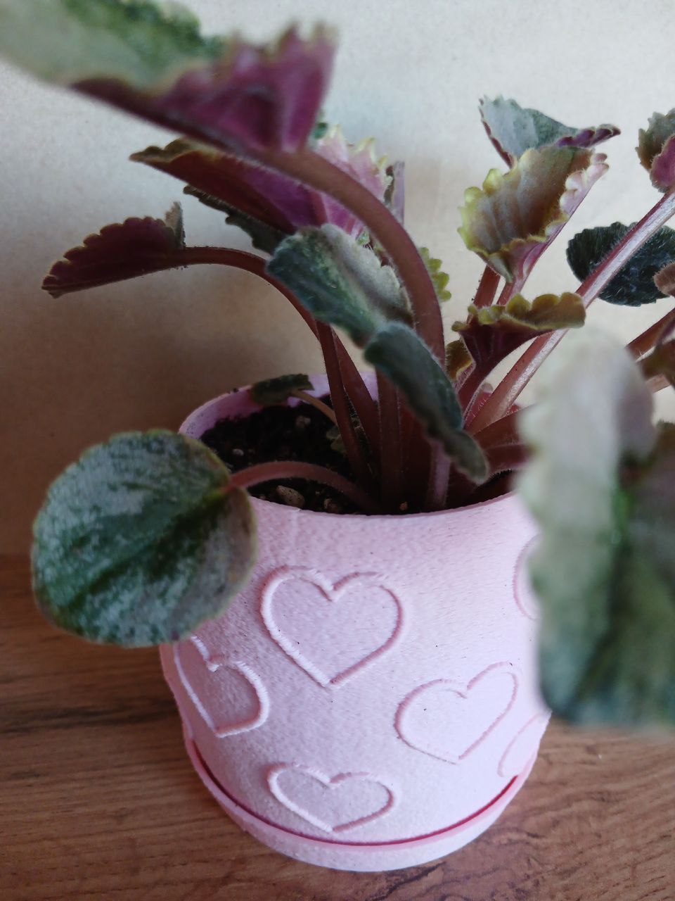 Heart Pattern Planter — thumbnail 3