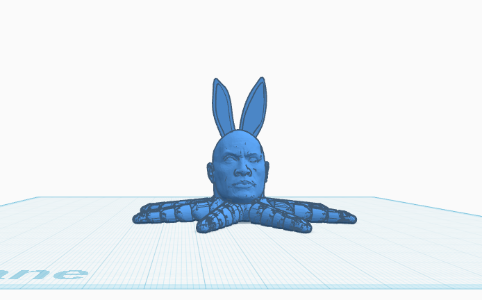 The Roktupus Rocks!