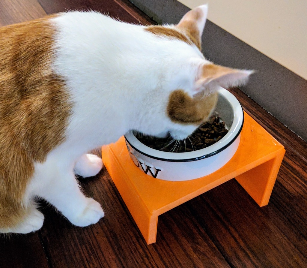 customizable-cat-dog-bowl-stand-by-cash-lo-download-free-stl-model