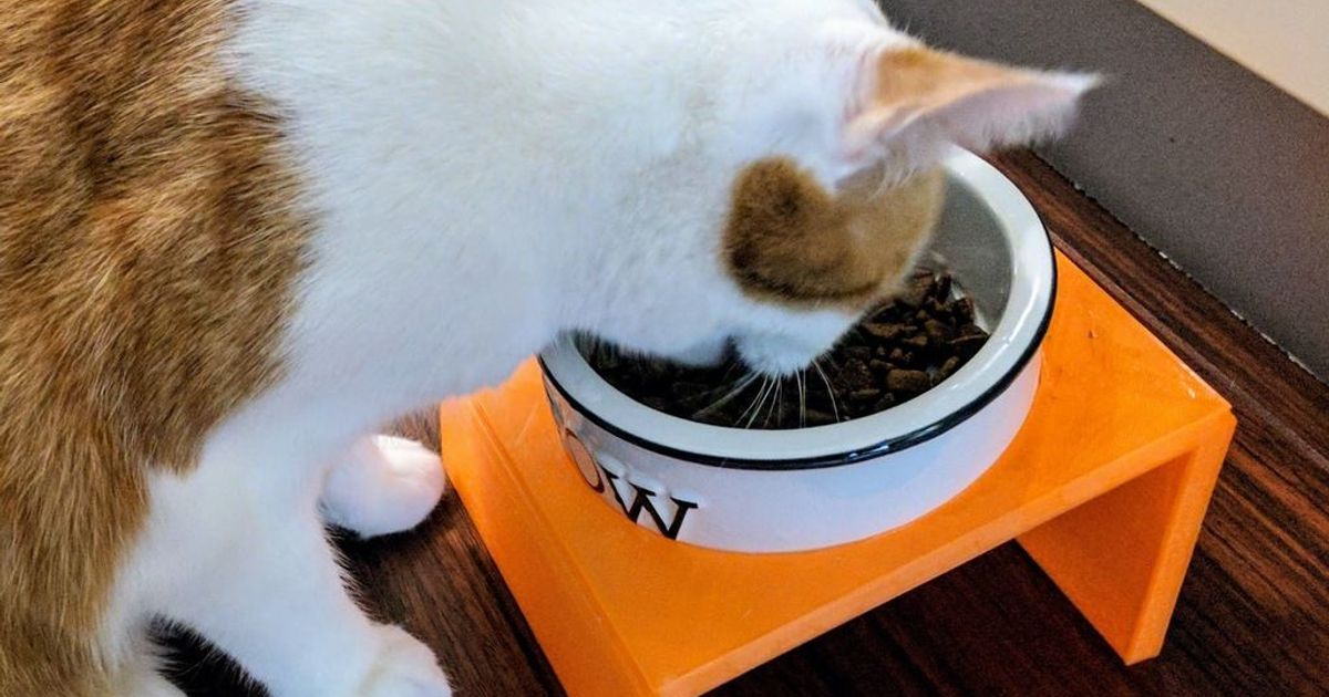 customizable-cat-dog-bowl-stand-by-cash-lo-download-free-stl-model
