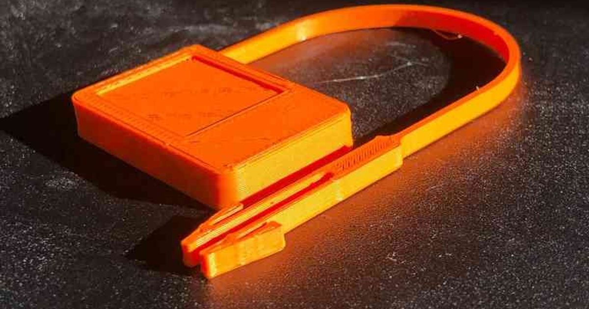 Heavy duty disposable lock by Clac Download free STL model