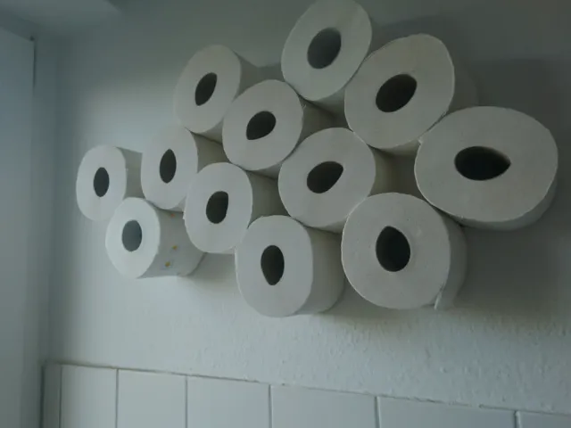 Toilet paper cloud, screwable