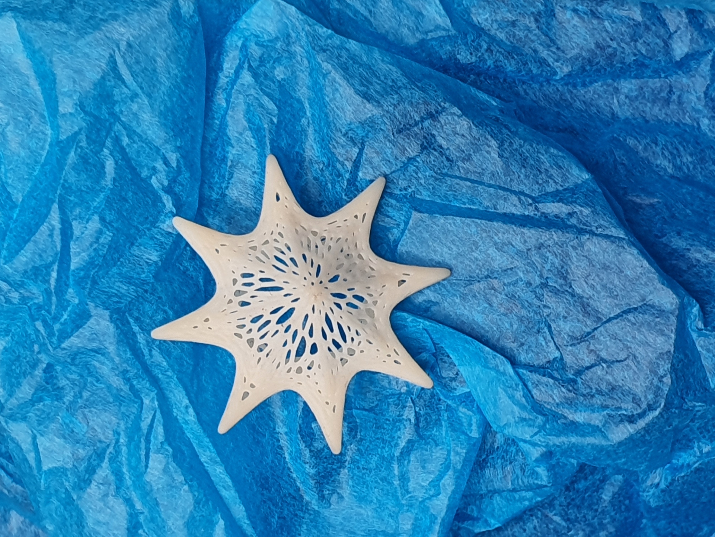 Estrella Voronoi