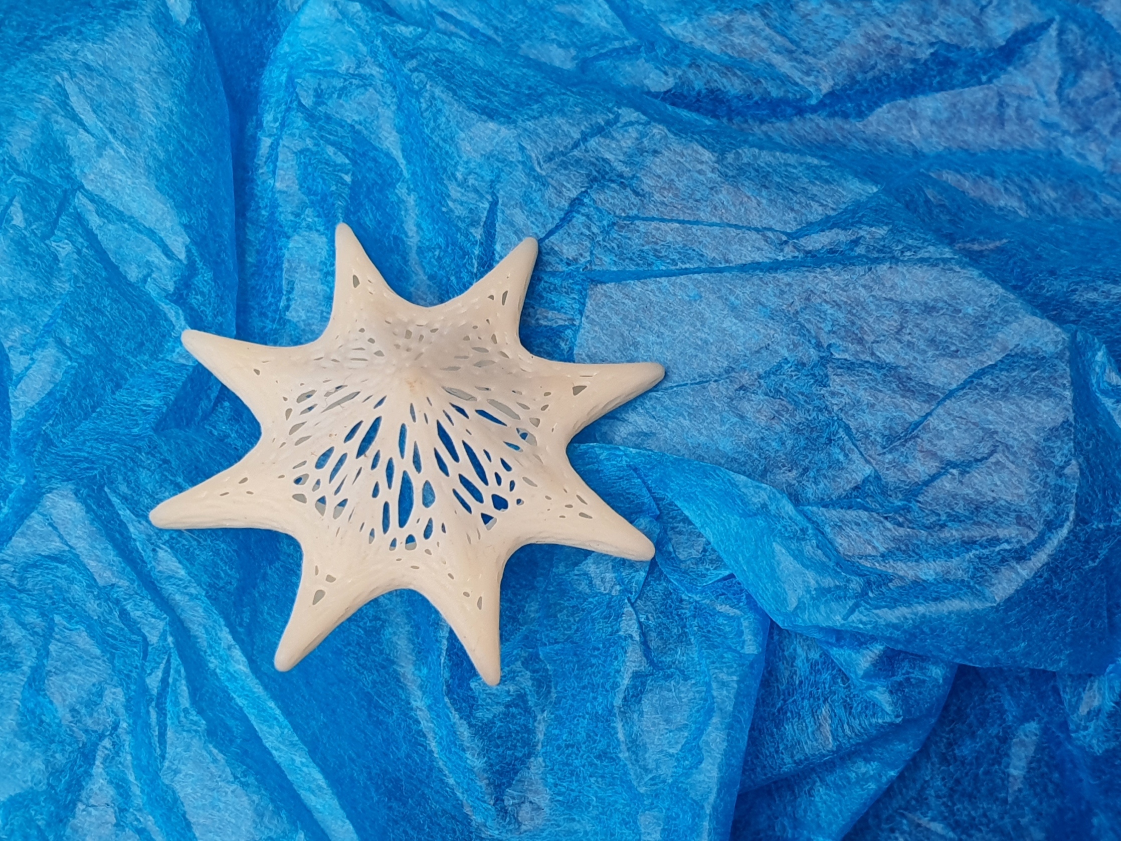 Estrella Voronoi — thumbnail 2