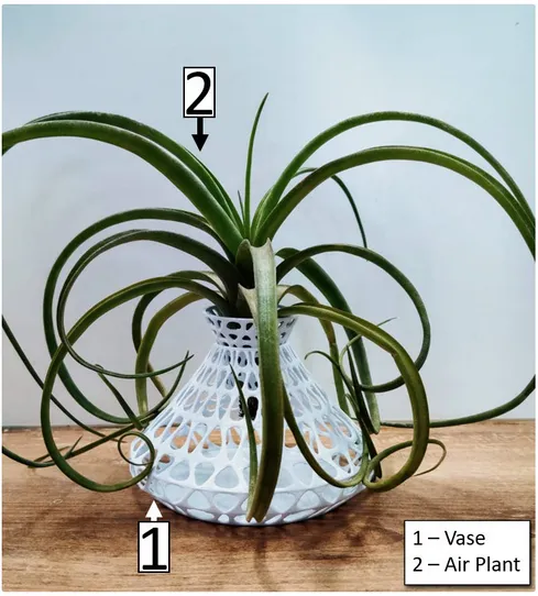 Air Plant Holder / Vase by JK | Download free STL model | Printables.com