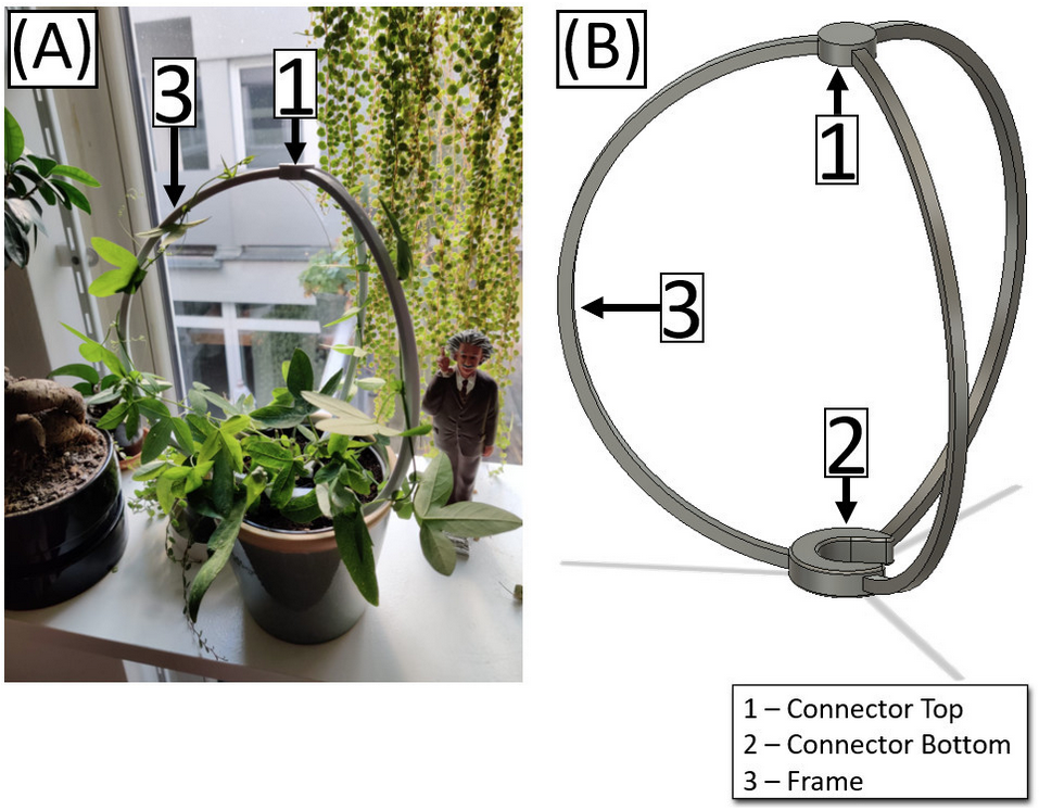 Girlfriend Approved Plant Support / Holder