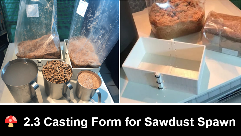 2.3 Casting Form for Sawdust Spawn Mycelium
