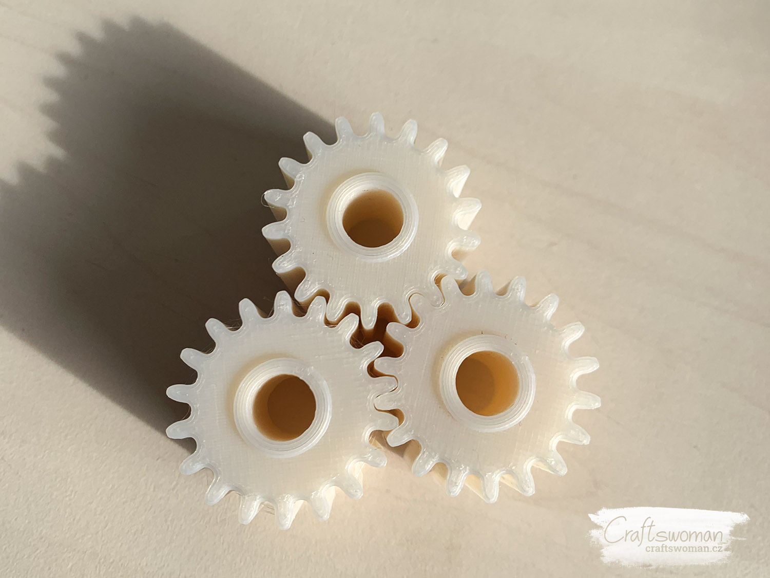 Gear for RIB entry gates