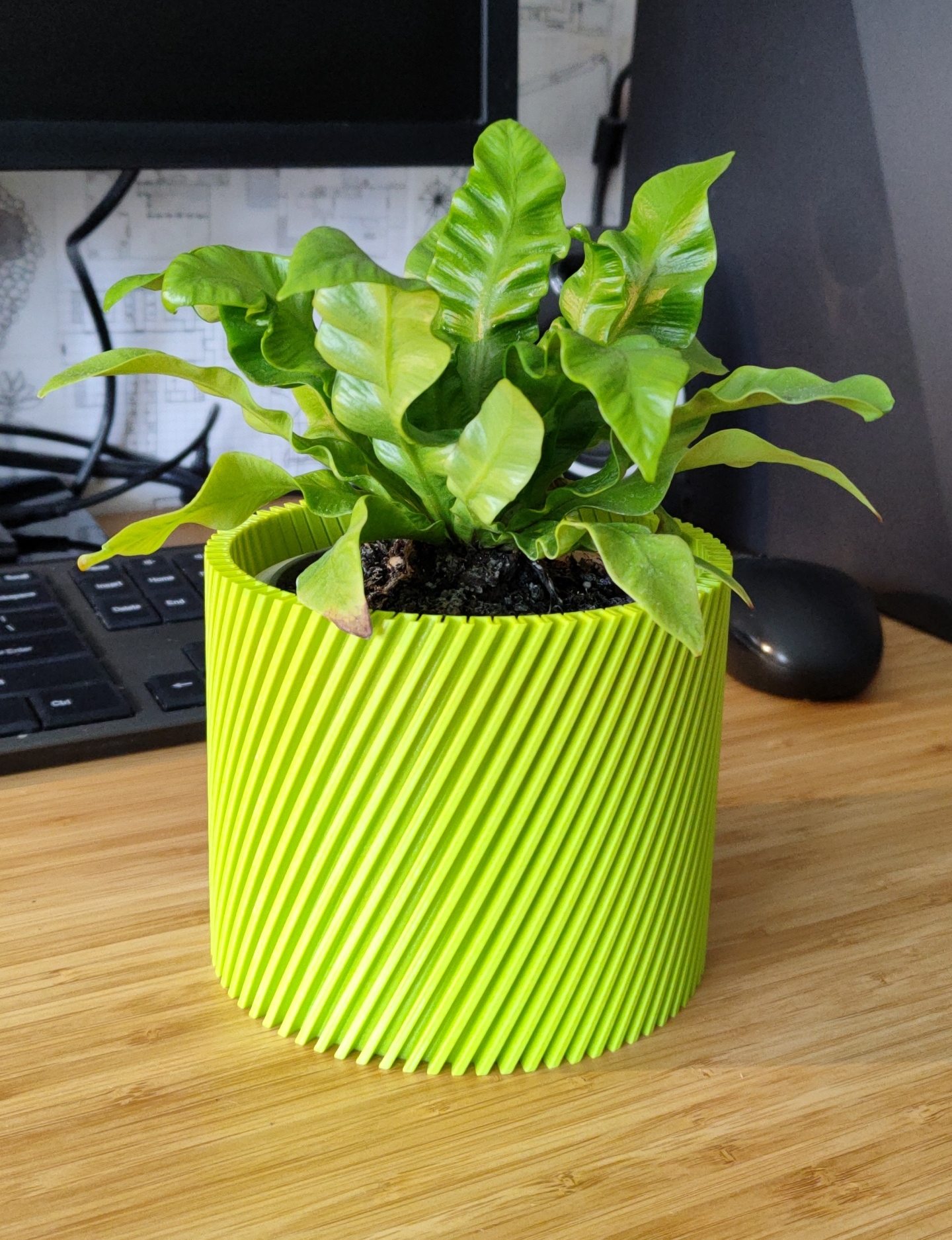 Spiral flower pot/planter - vase mode 3D model thumbnail