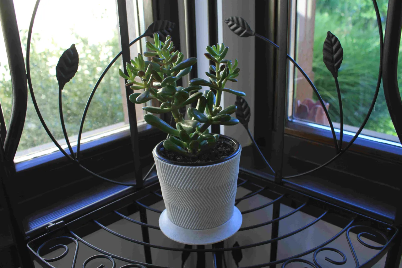 Cat proof Succulent Pot by Print3dSolid | Download free STL model |  Printables.com