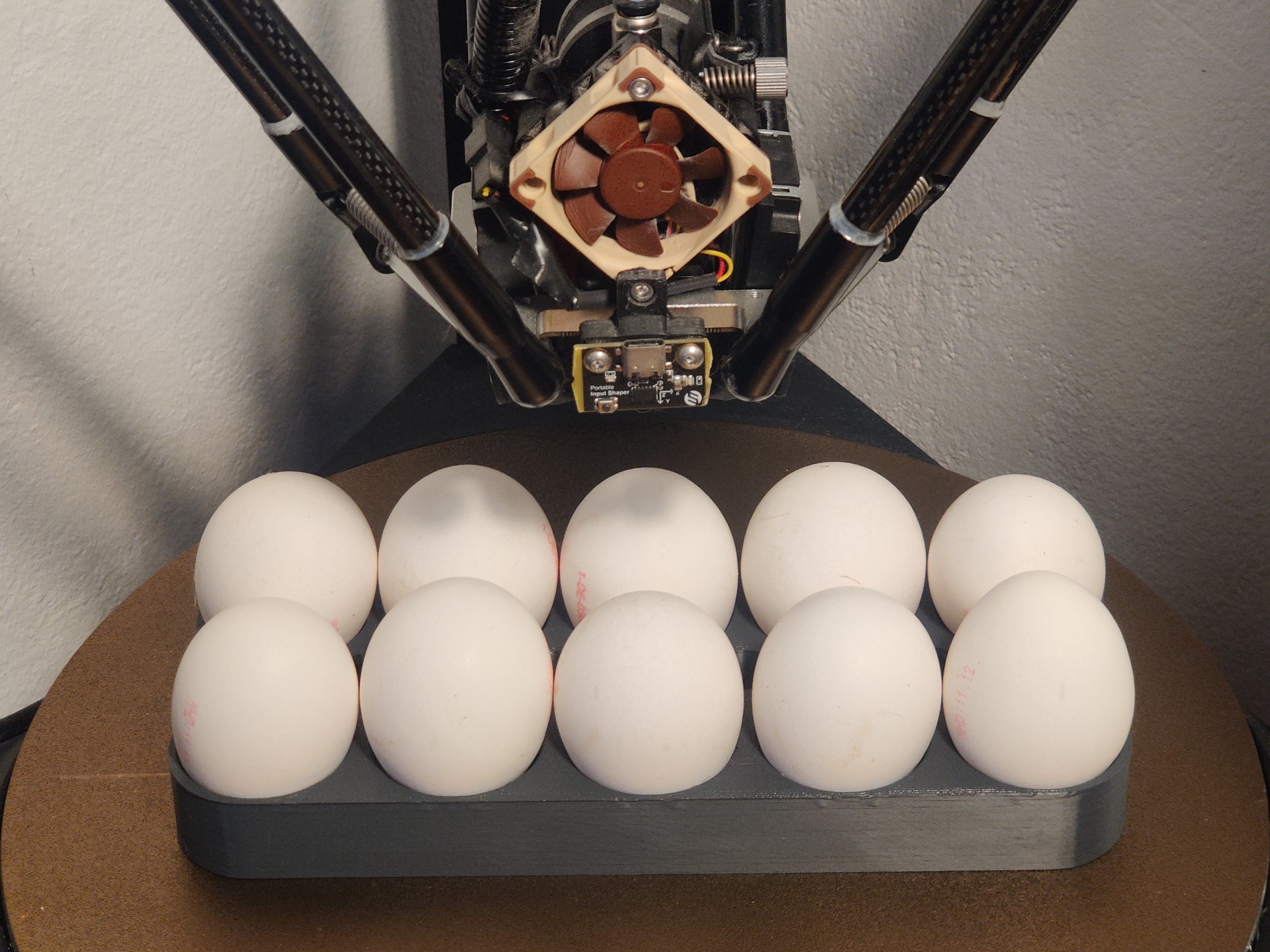 Simple Egg Holder for 10 Eggs