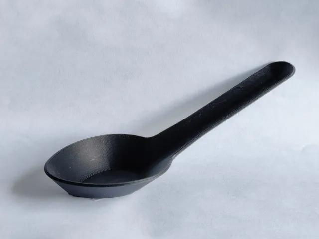 Chinese Soup Spoon