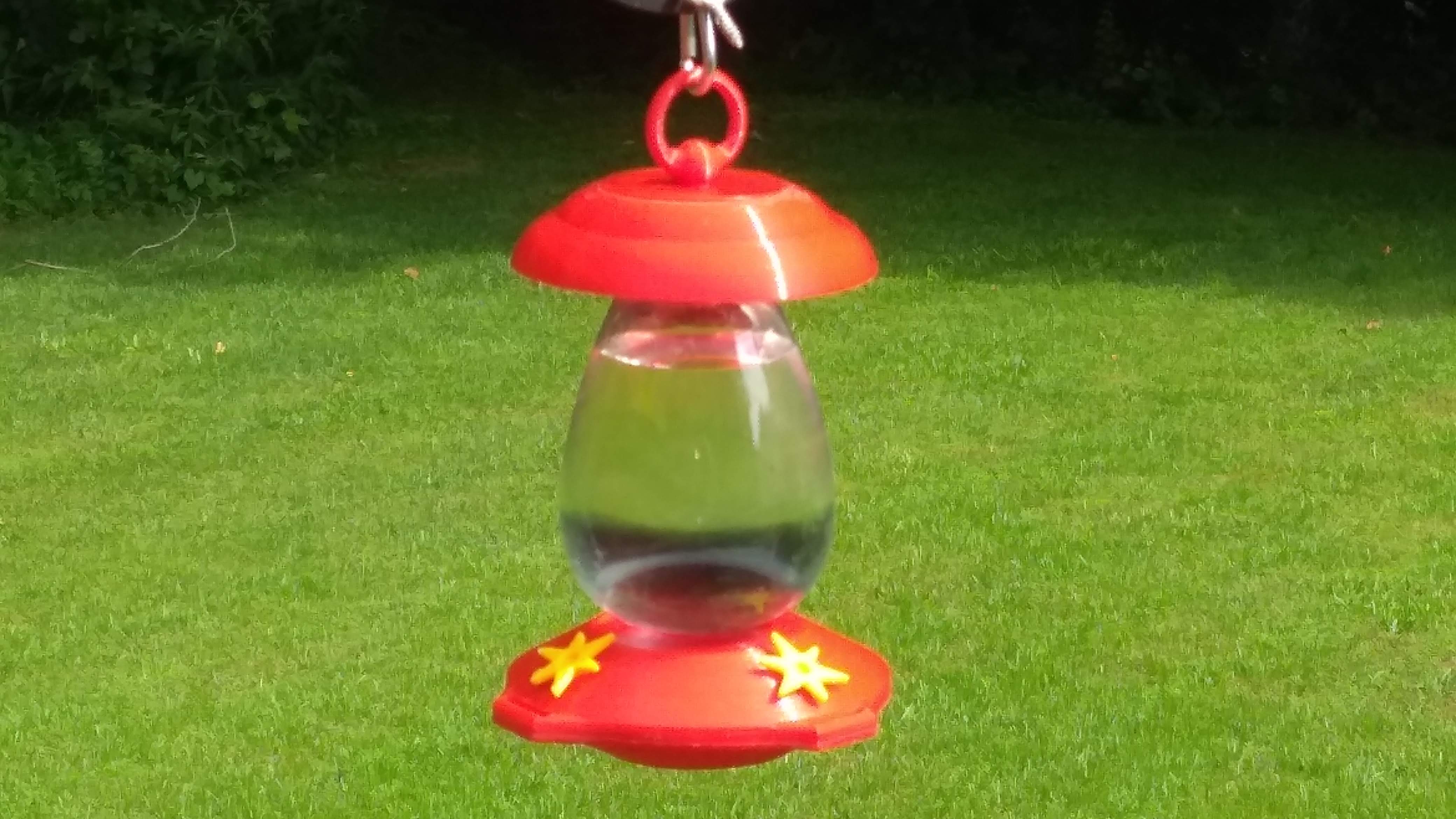 Humming Bird Feeder with Flowers