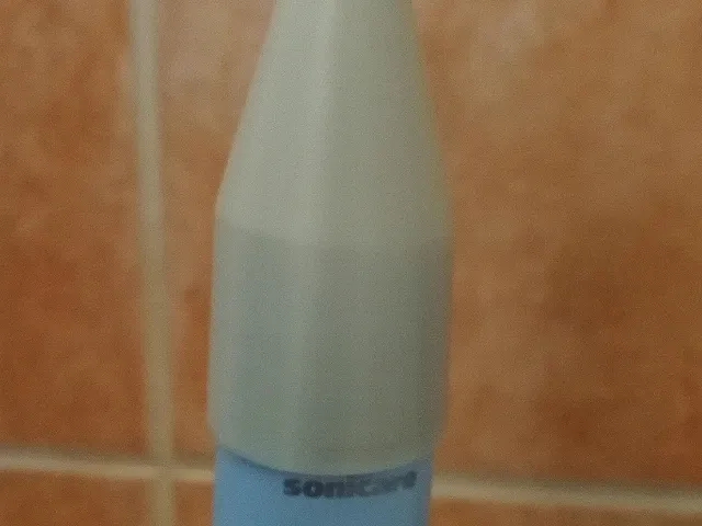 Krytka na elektrický kartáček (The electric toothbrush)