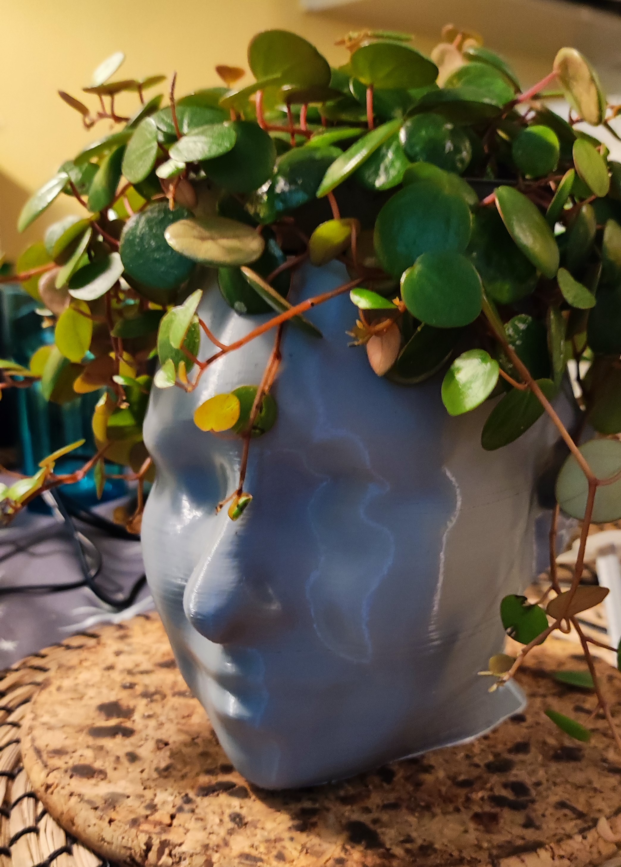 Head Plant Pot (smal)