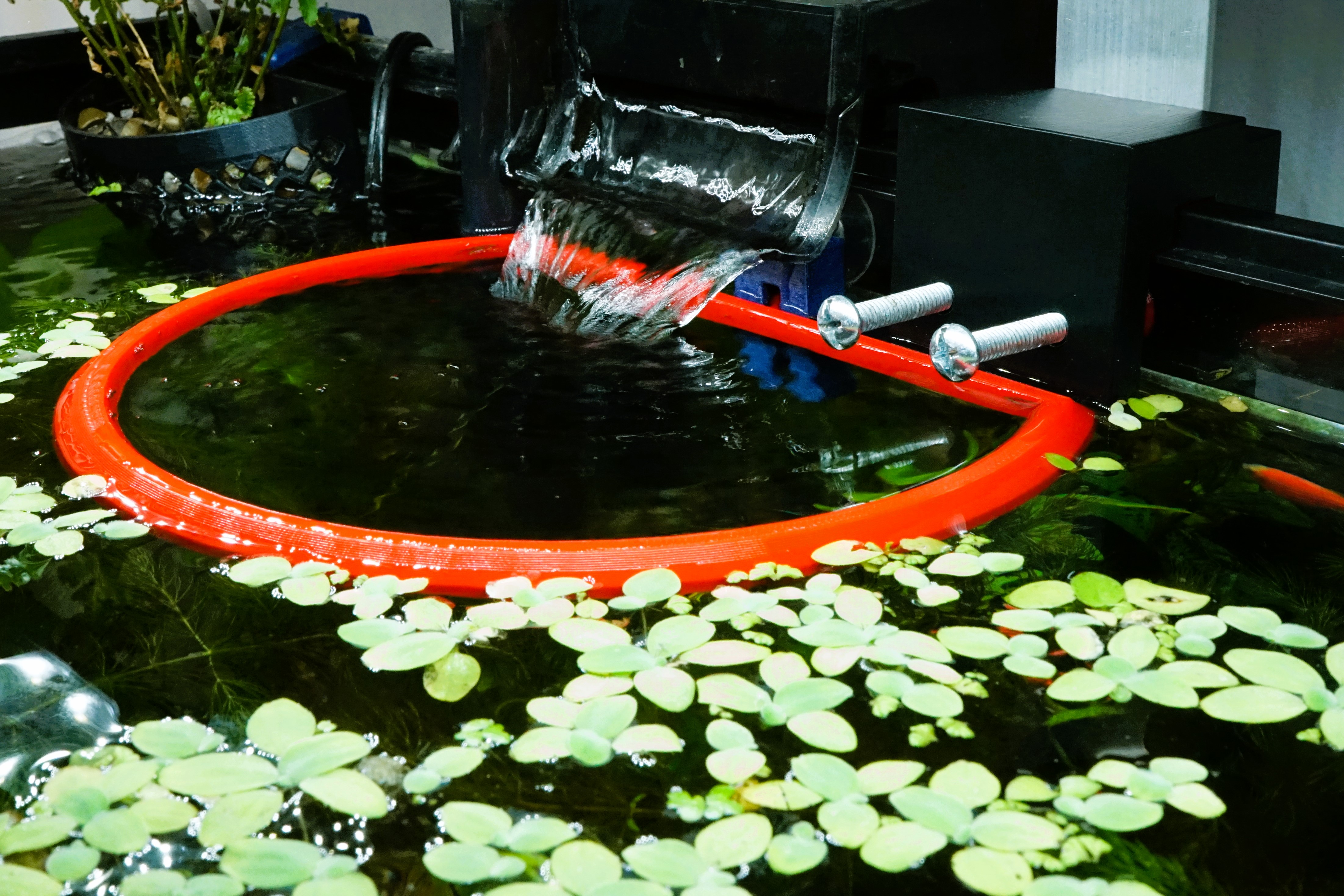 Aquarium floating ring with auto level adjustment