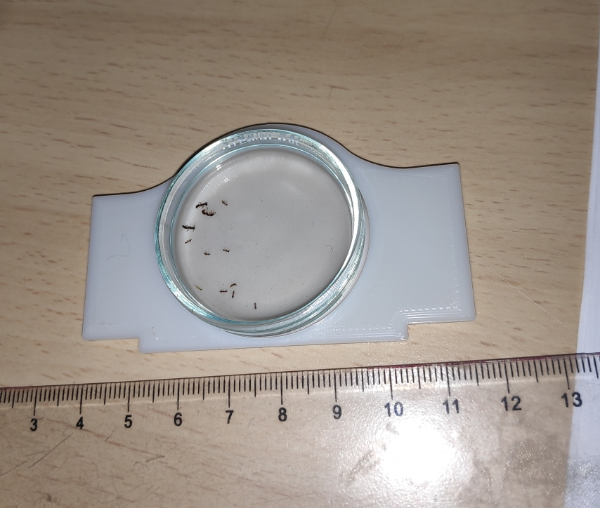Petri dish holder / adapter
