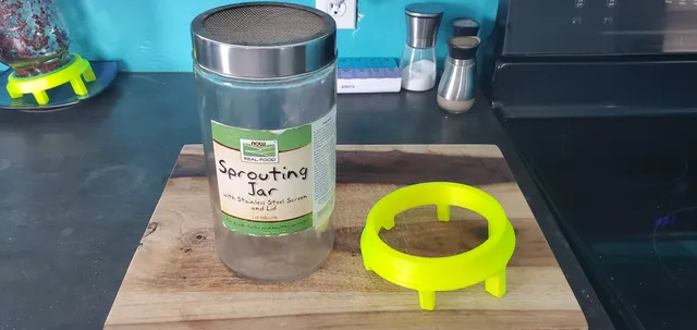 NOW Sprouting Jar Angled Stand