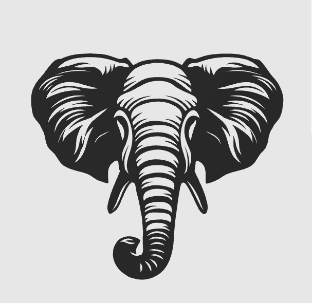 wall art elephand