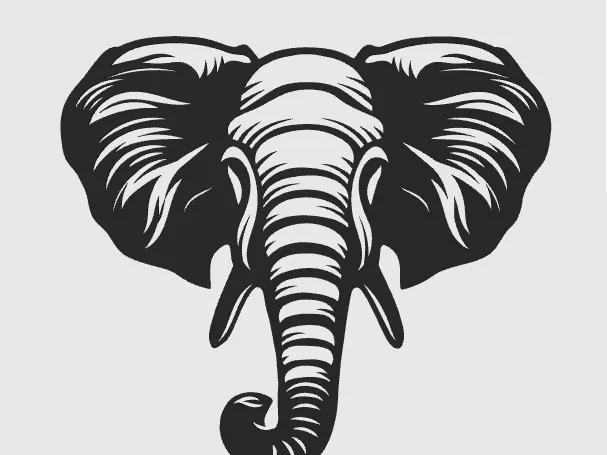 wall art elephand