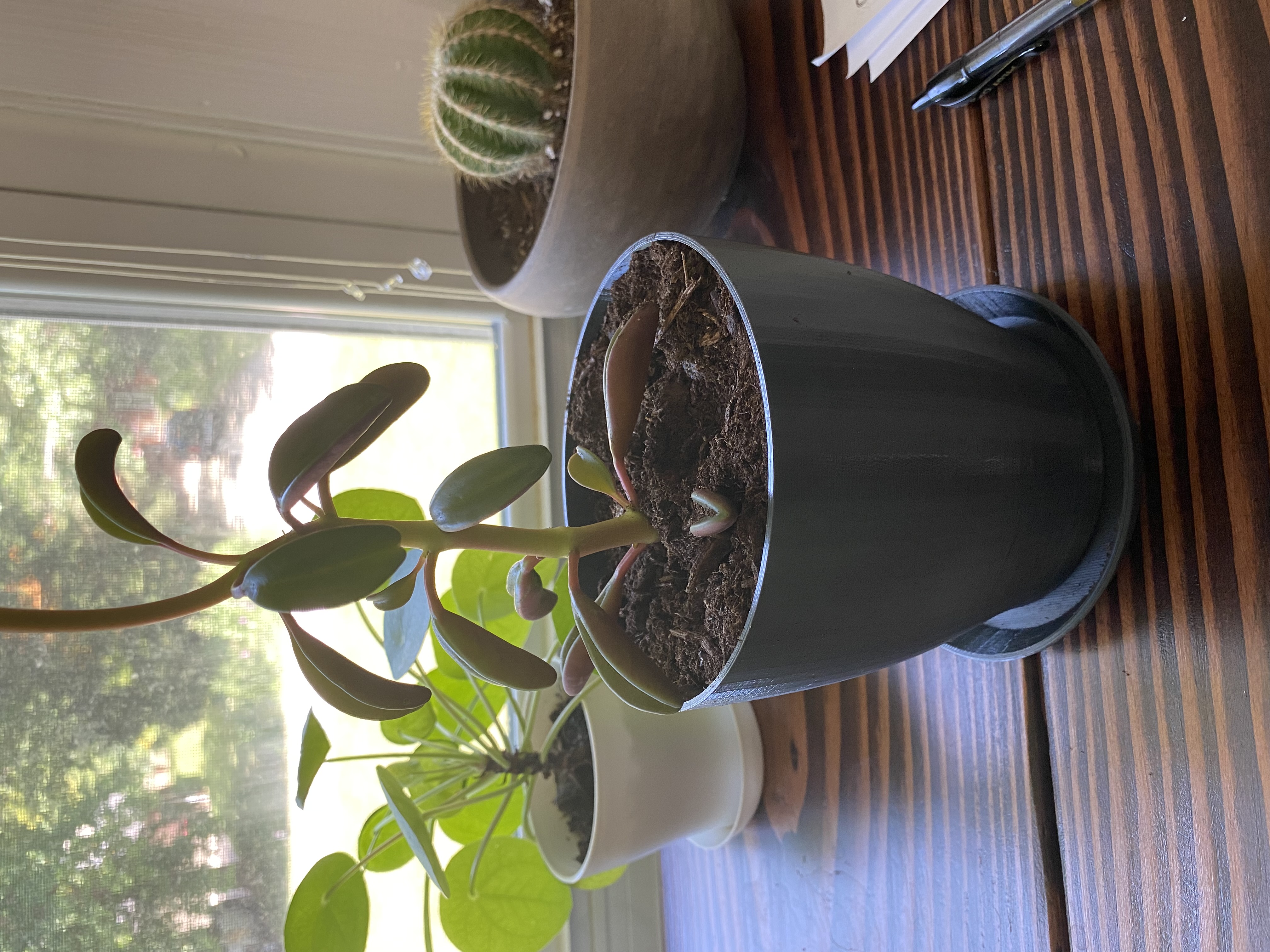 Simple Plant Pot