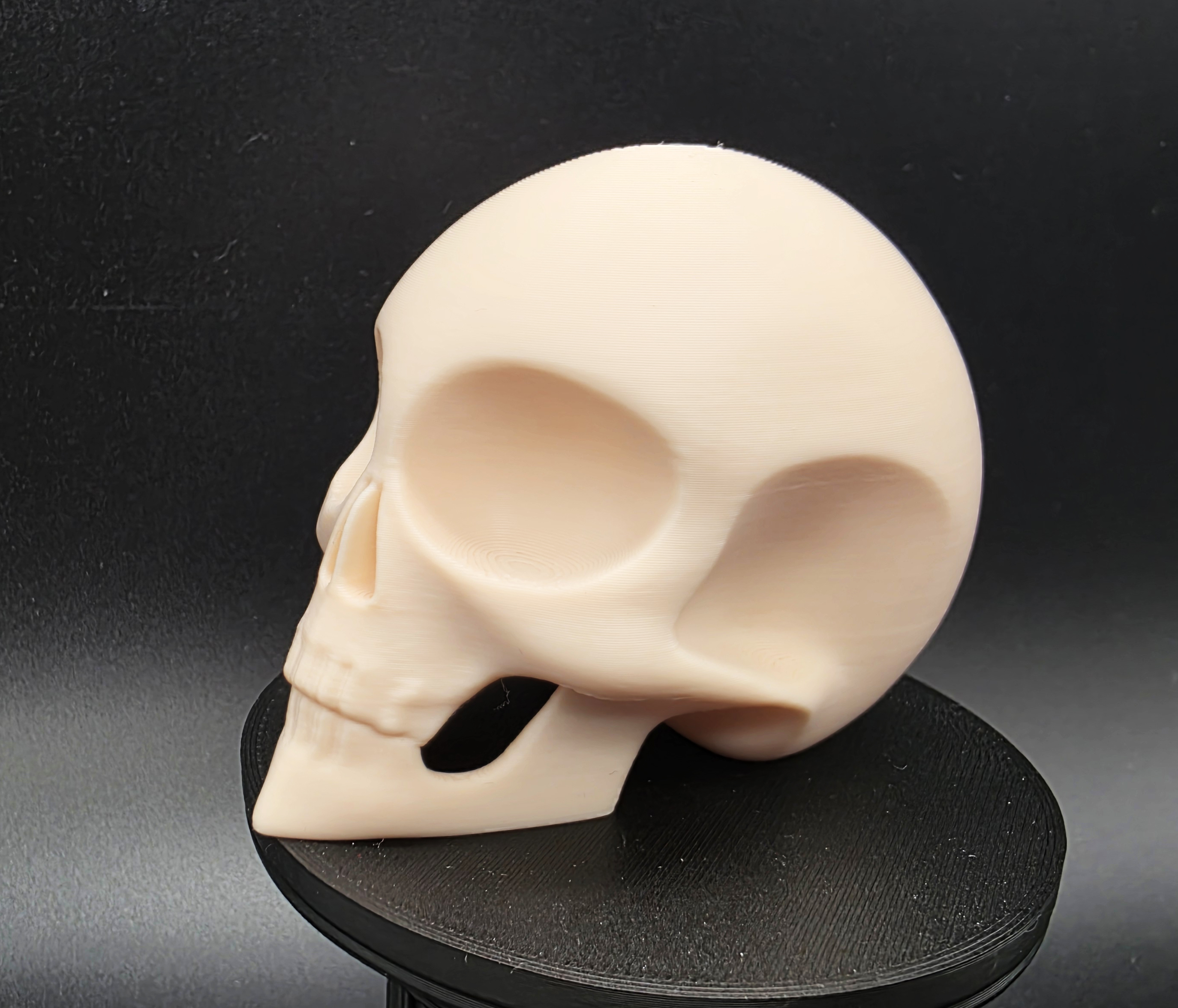 Stylized Alien Skull