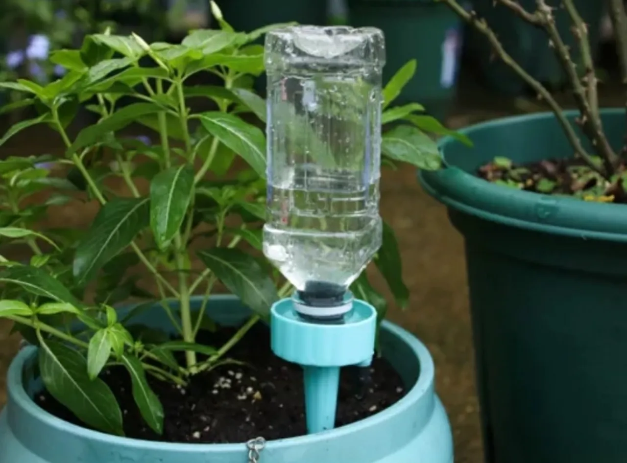 plant feeder by Ian | Download free STL model | Printables.com
