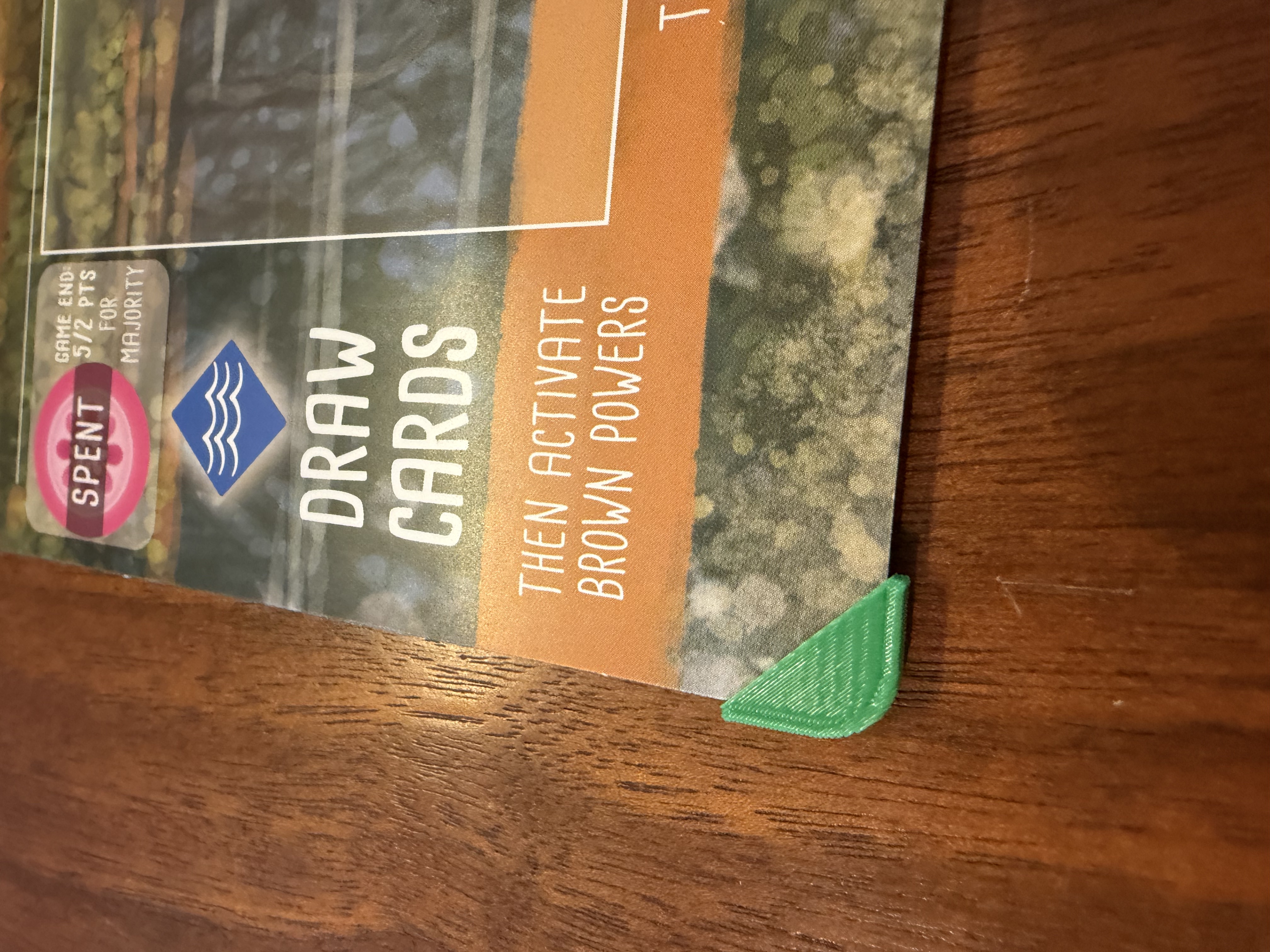 Wingspan Americas Overlay Clips