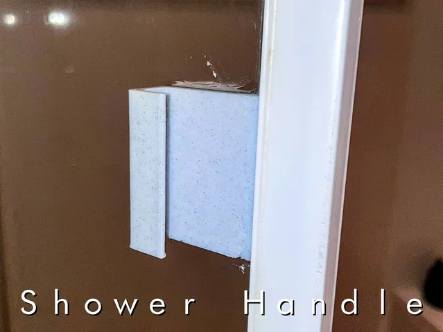 Shower Handle