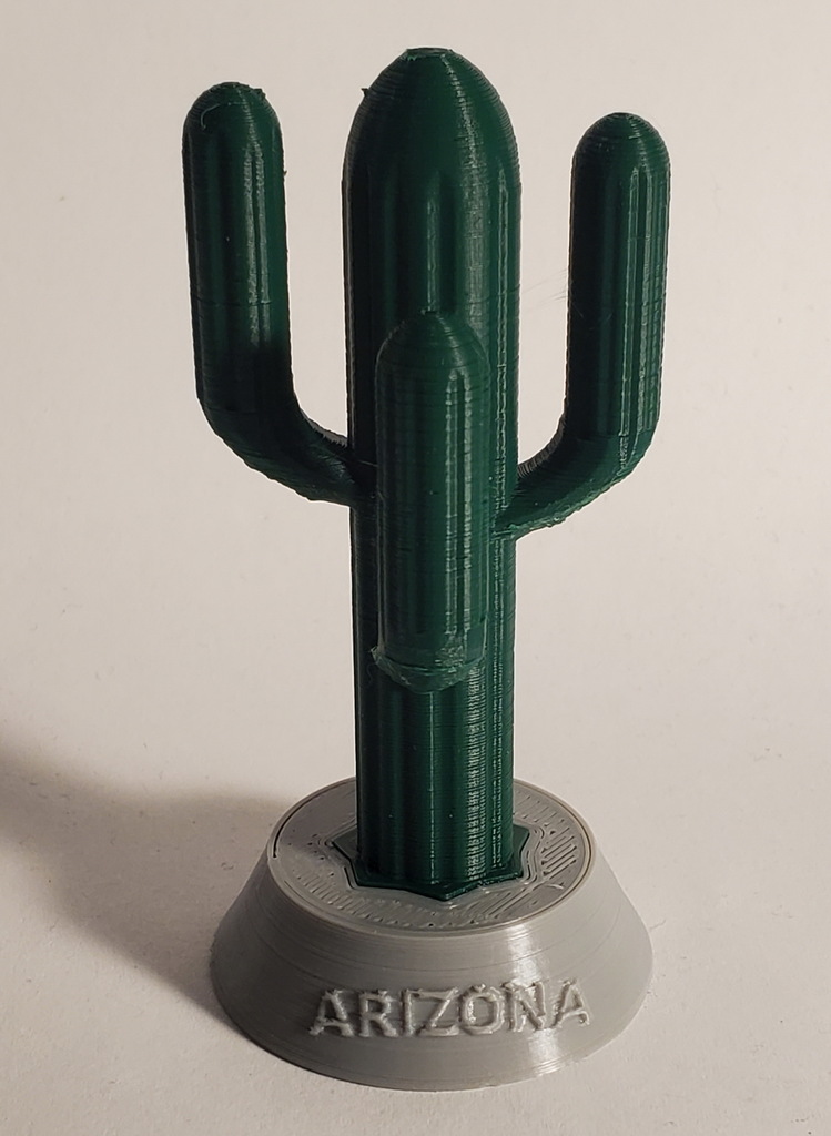 Saguaro Cactus