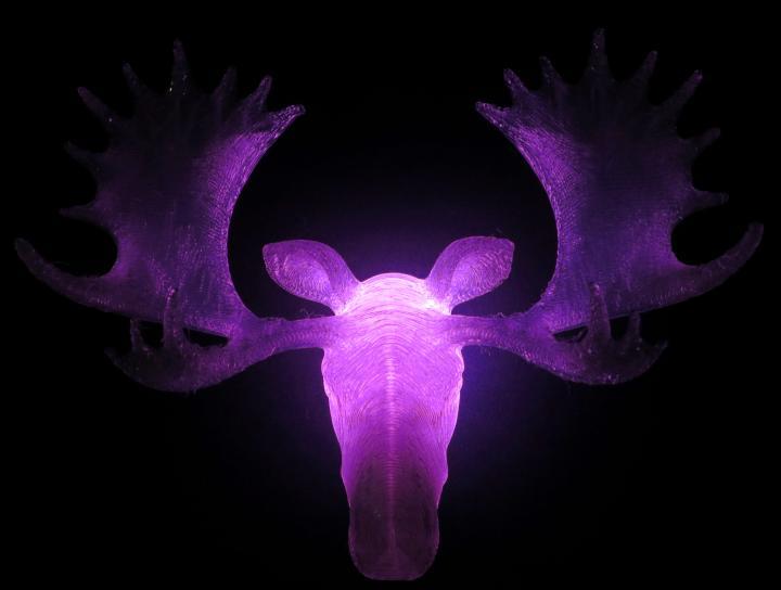 Miniatura 4 do modelo 3D Glow Moose