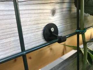 Trellis mounting clip