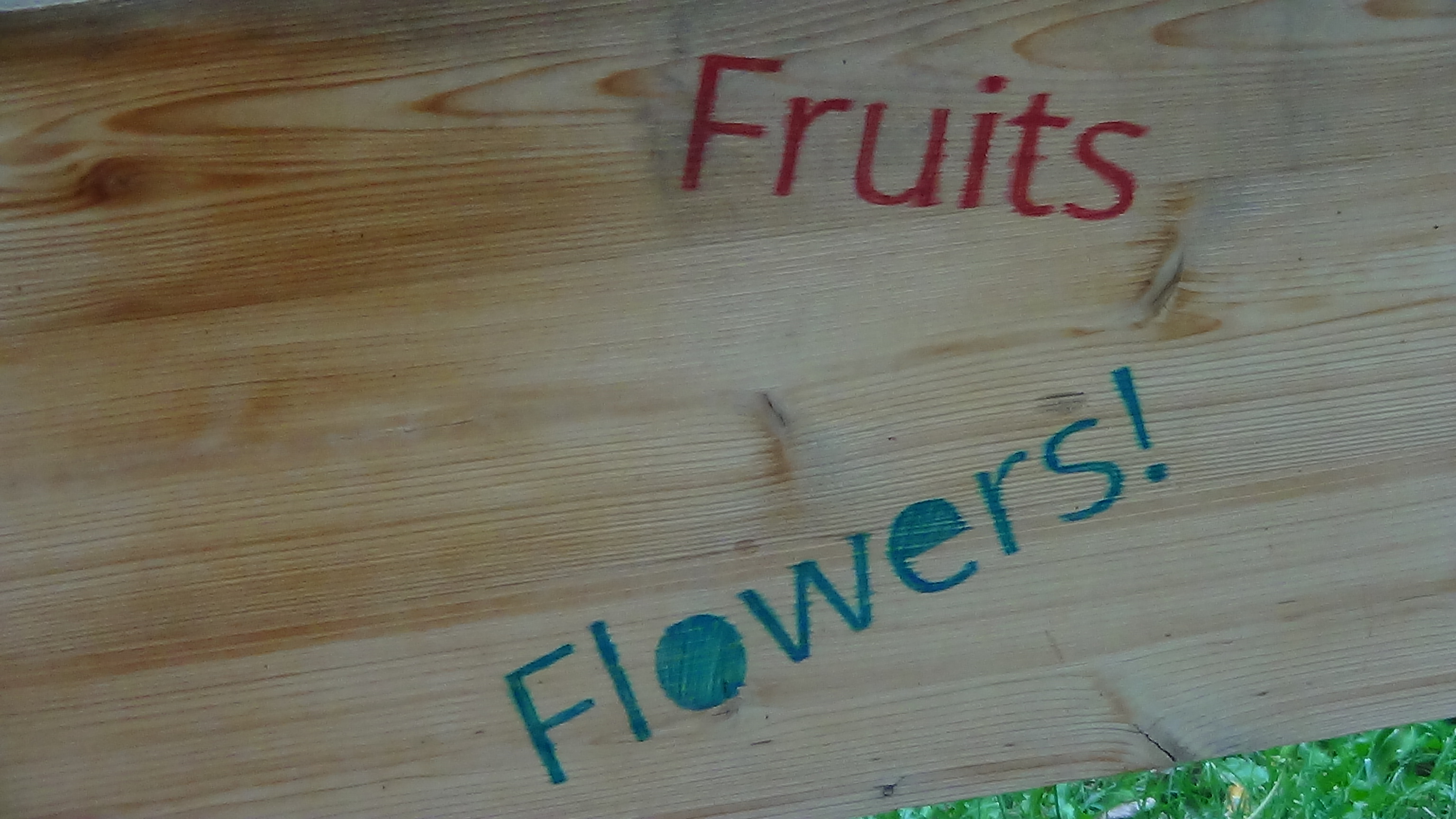 plants label stencils by Rieyhoughonn lucky Download free STL model